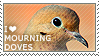 Mourning Doves